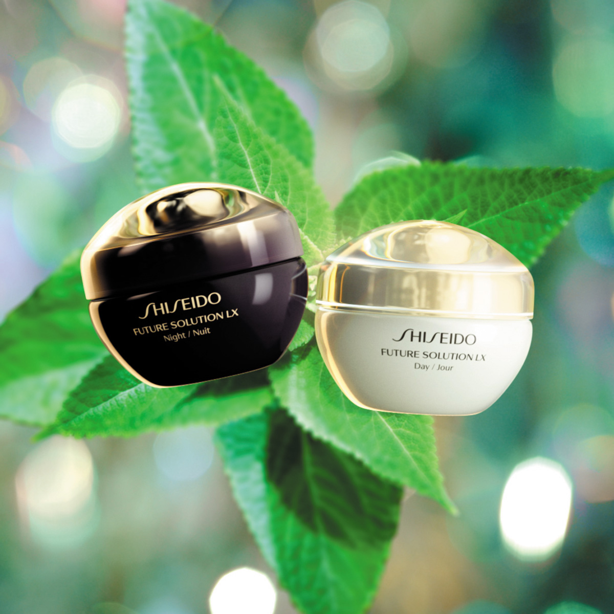 Total Regenerating Cream,  Total Regenerating Cream,