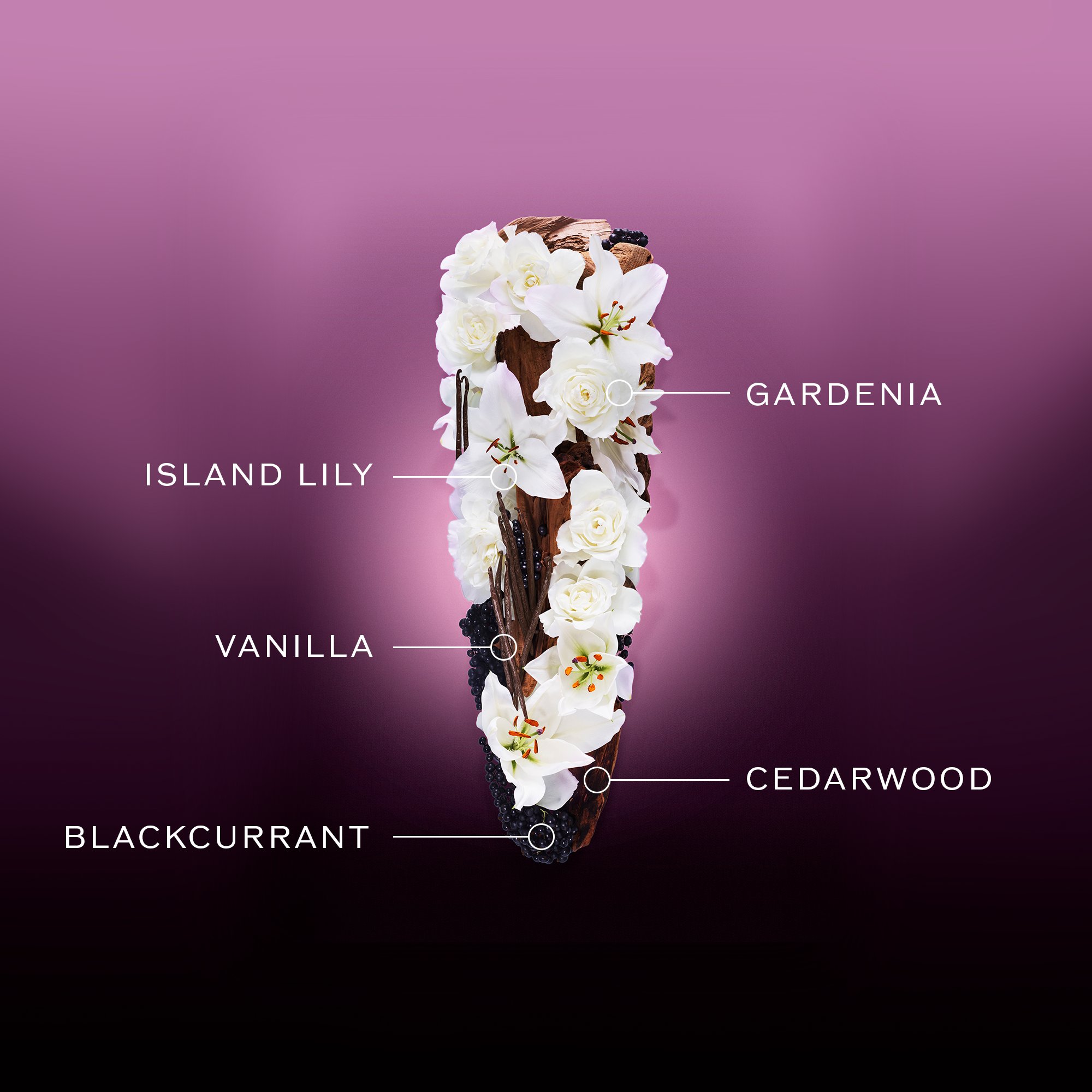 Ginza Night Eau De Parfum Intense,