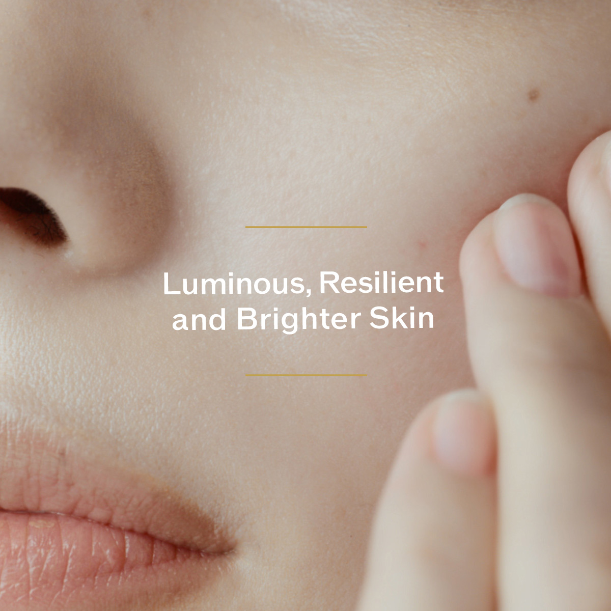 Total Regenerating Cream,  Total Regenerating Cream,